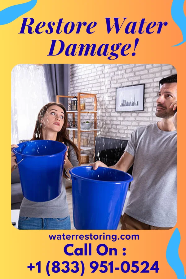 water restoration North Sewage Cleanup Force Cementon