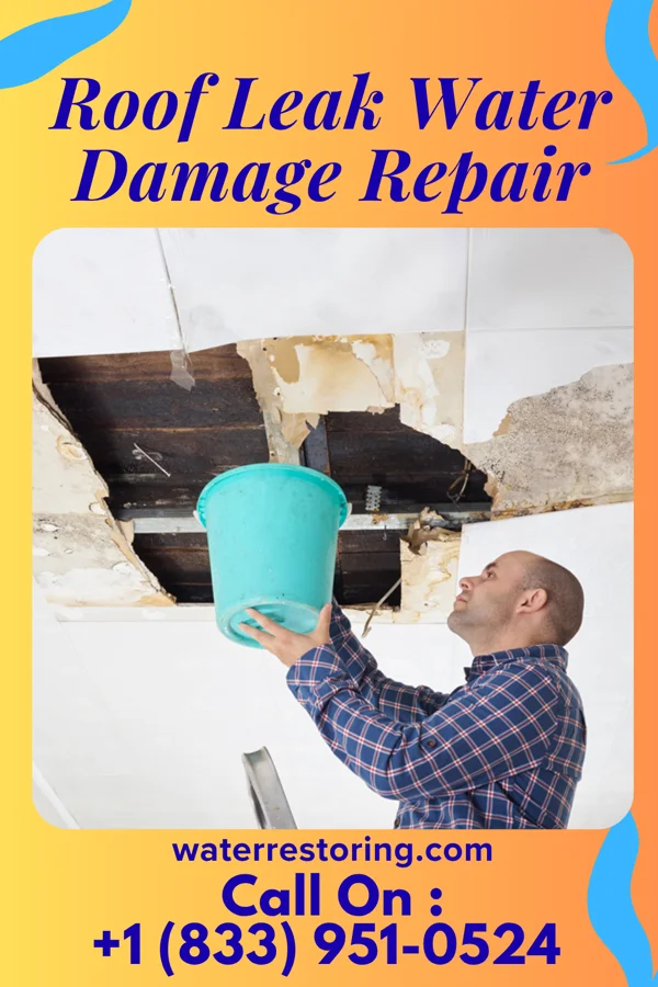 Roof Leak Water Damage Repair in Cementon, NY