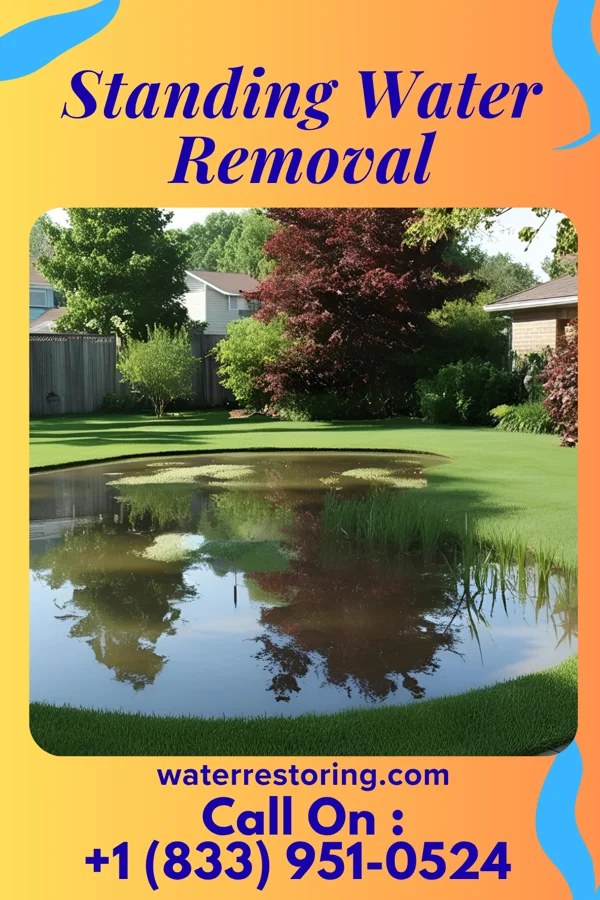 Standing Water Removal in Cementon, NY